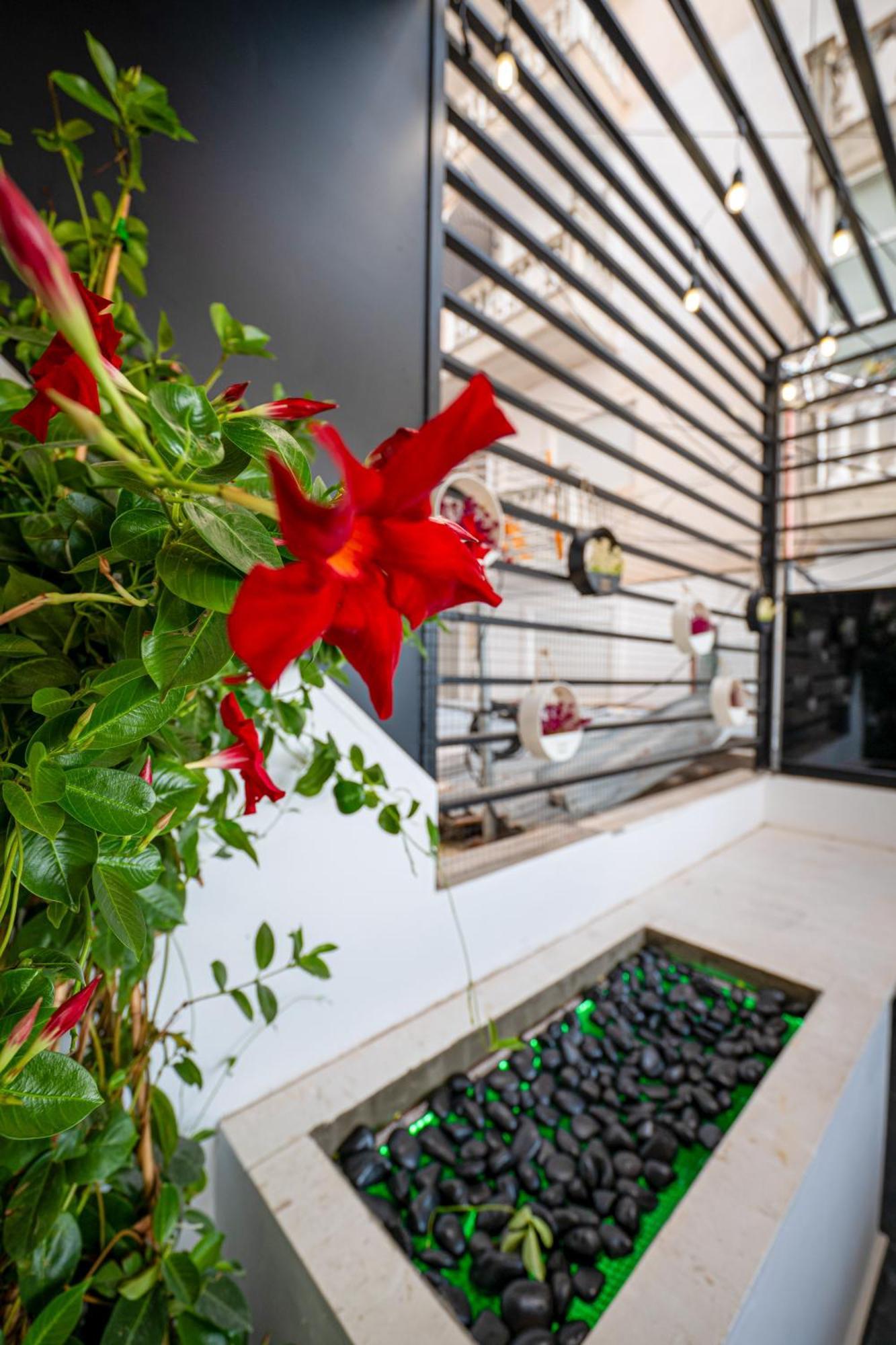 Mato Luxury Apartments Saranda Extérieur photo